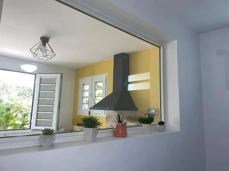 Bel Appartement Dans Ecrin De Verdure Le Lamentin Apartment