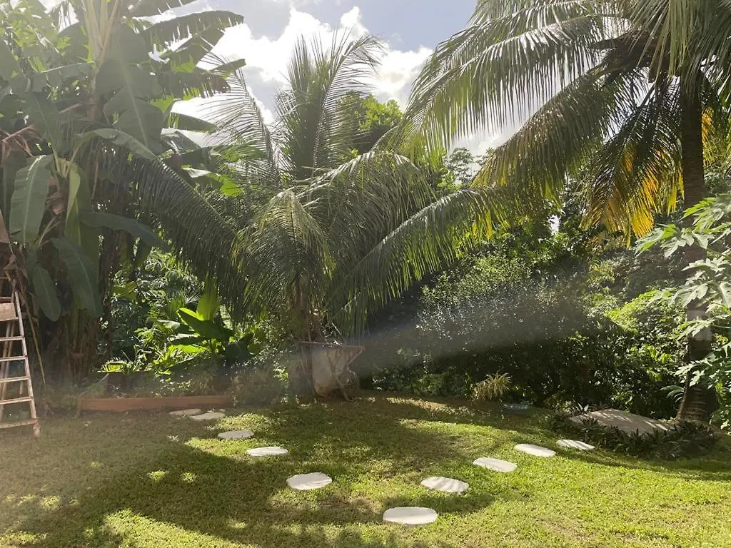 Bel Appartement Dans Ecrin De Verdure Le Lamentin Martinique