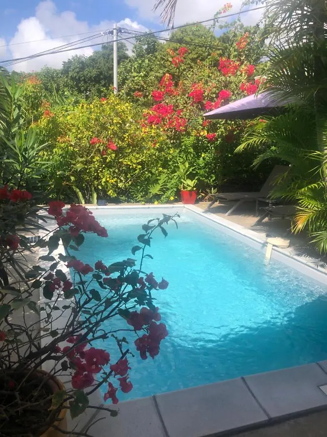 Bel Appartement Dans Ecrin De Verdure Le Lamentin Martinique
