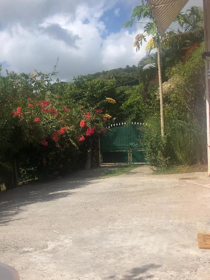 Bel Appartement Dans Ecrin De Verdure Le Lamentin Martinique